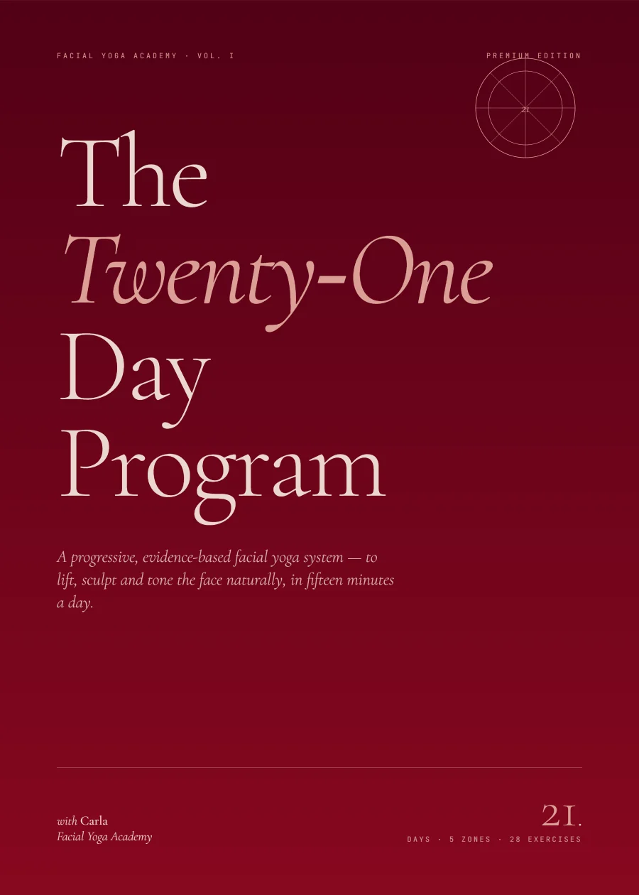 The Twenty-One Day Program — cover